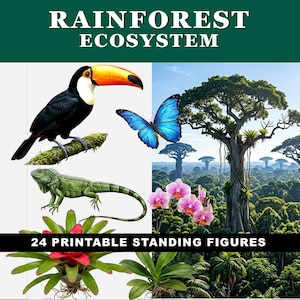 Printable Rainforest Animal Cut-Outs: Rainforest Ecosystem Standing Figures, 24 Jungle Creatures with Backdrops, Science Diorama Activity