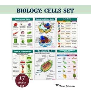 Zellbiologie Poster Set, Mittelschule Wissenschaft Klassenzimmer Dekor (Digitaler Download)