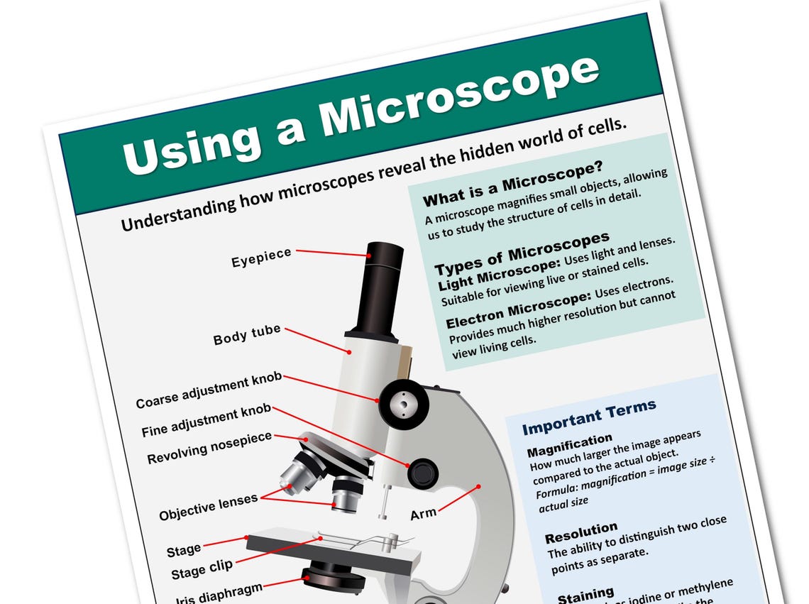 Microscope Terms Using a Microscope Poster, Microscope Parts, Terms & Lab Skills, Middle ...
