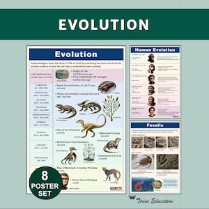 Evolution of Life Science Posters, 8 Printable Biology Prints for Middle & High School STEM Classroom Decor Grades 8-11