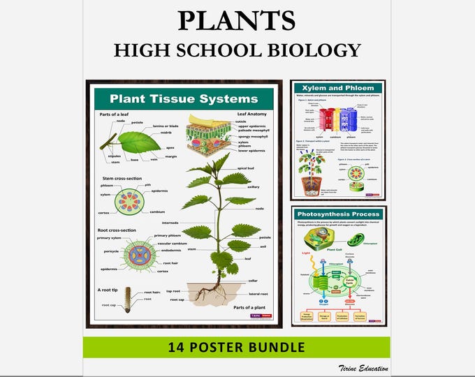 Graphs and Charts Set of 8 Posters Math Science Biology Classroom ...
