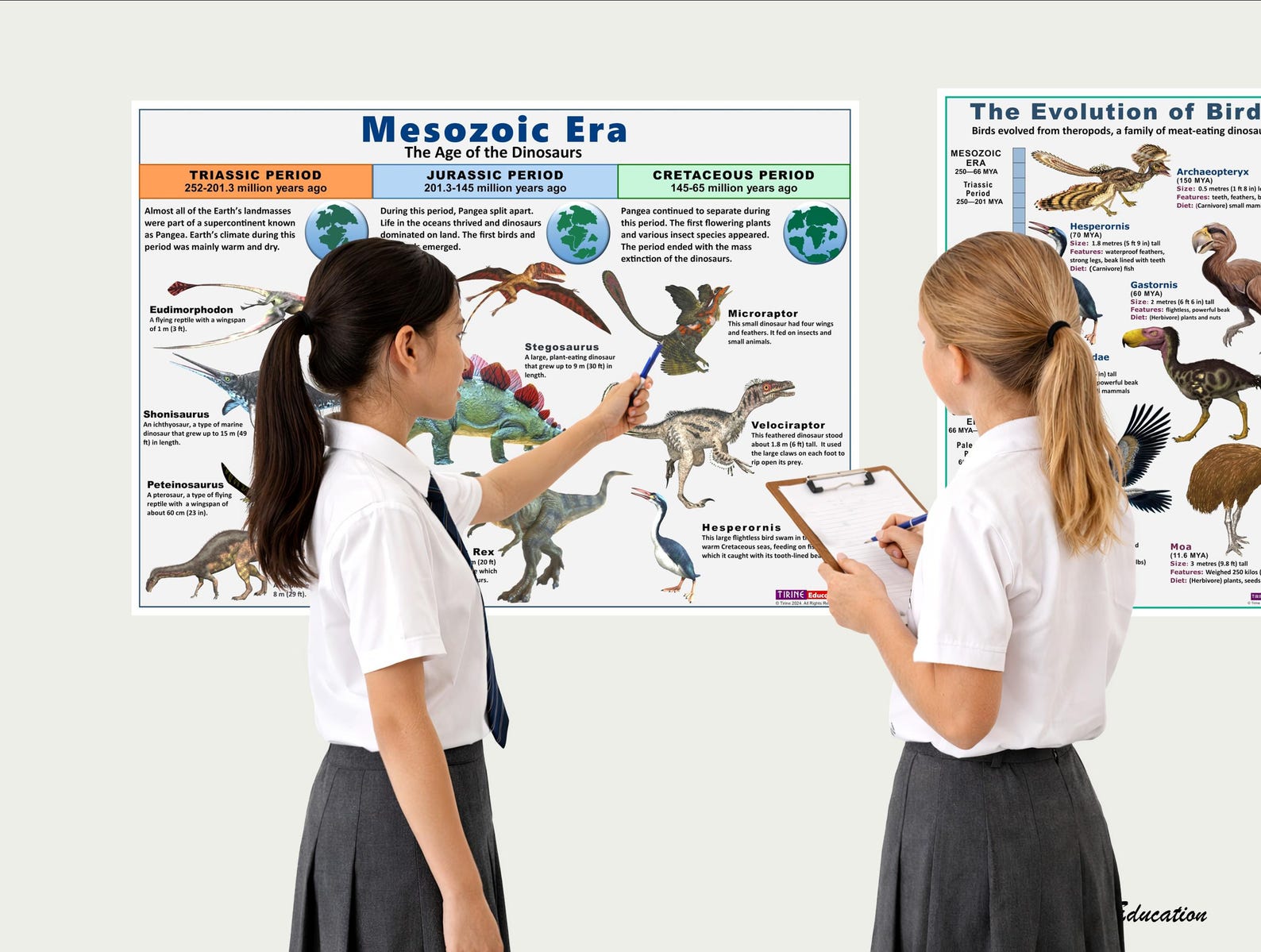 Evolution of Life Science Posters, 8 Printable Biology Prints for ...