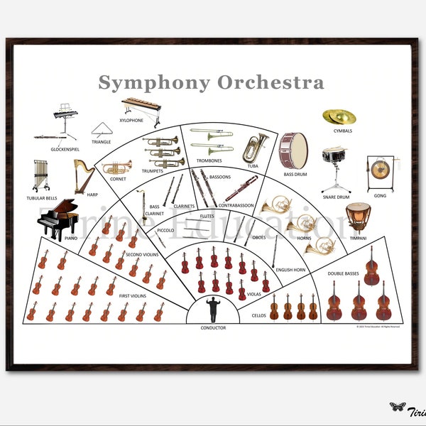 Symphony Orchestra layout poster, printable classroom orchestra poster, educational poster, music classroom, digital download