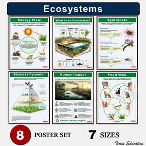 Ecosystems-posterset – wetenschapsposters middelbare school – 8 educatieve posters voor klaslokalen en laboratoria, leerlingen van 11-14 jaar, 7 maten