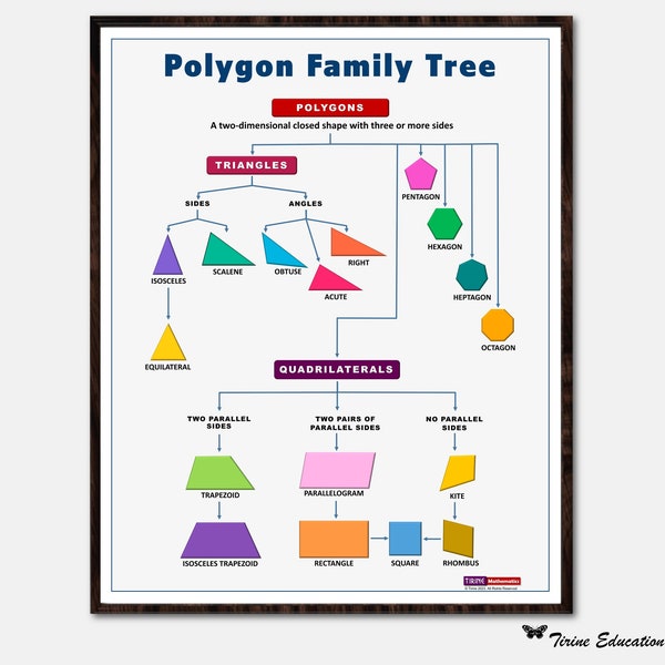 Polygon Family Tree Poster, Maths Poster, Elementary, Primary, Homeschool Poster, Educational Poster, Classroom Poster, Classroom Decor