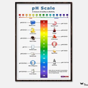 May include: A framed educational poster titled pH Scale, A measure of acidity or alkalinity. It features a vertical color-coded gradient from red to purple, numbered 0 to 14, with illustrations of common substances like lemon juice and milk.