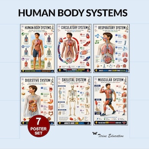 Human Body Systems Posters: Printable Science Biology Charts for Middle and High School Classrooms
