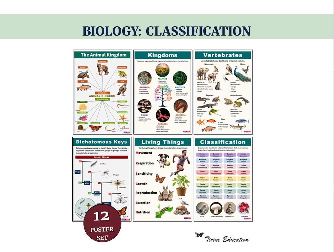 Science Classification Display Scientific Classification of Life, Science Posters, Middle & High ...