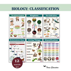 Clasificación científica de la vida, carteles científicos, decoración para aulas de STEM de secundaria y preparatoria