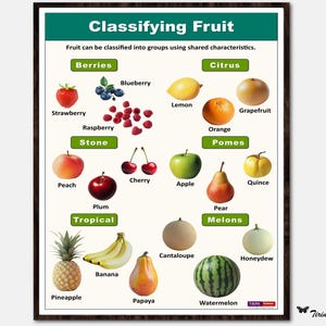 Fruit, poster, planten, biologie, wetenschap, middelbare school, klas 5-8, klasposter, wetenschapsbron, klasdecor, leraar natuurkunde
