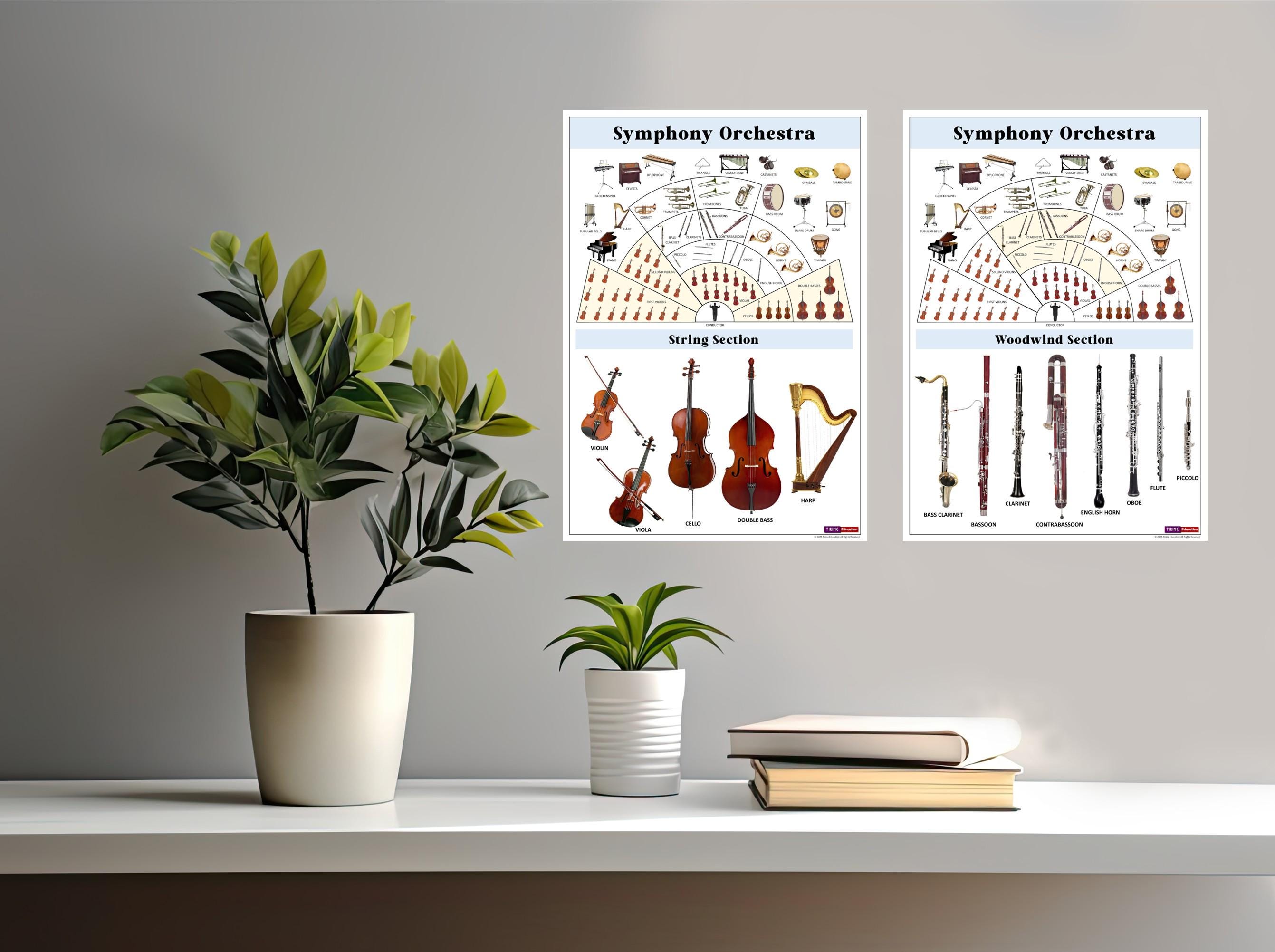 Study String Lesson Poster Music Posters, Symphony Orchestra, Strings, Woodwind, Brass, Percussion ...