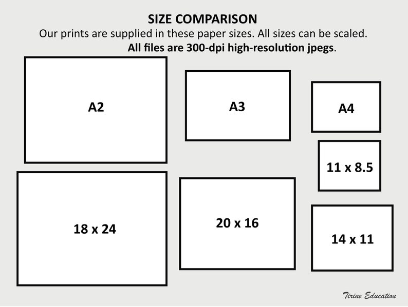 May include: A chart comparing the sizes of A2, A3, and A4 paper. The chart shows the dimensions of each paper size in inches. All files are 300-dpi high-resolution jpegs.