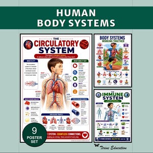 Może przedstawiać: Zestaw dziewięciu plakatów edukacyjnych pod tytułem Human Body Systems, zawierający szczegółowe schematy układu krwionośnego i odpornościowego. Każdy plakat zawiera ilustracje anatomiczne, opisy tekstowe oraz kolorowe ikony wyjaśniające funkcje.