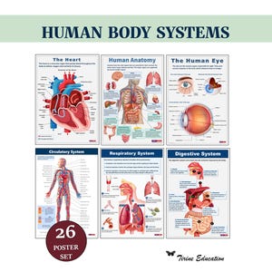 Könnte beinhalten: Ein Satz von sechs Lehrplakaten, die menschliche Körpersysteme wie Herz, Anatomie, Auge, Kreislauf-, Atmungs- und Verdauungssysteme veranschaulichen. Die Plakate sind mit klaren Diagrammen und Texten beschriftet, mit dem Label "26 POSTER SET".