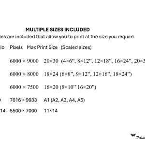 May include: A white graphic with black text detailing multiple print sizes, ratios, and pixel dimensions. The text includes sizes such as 20x30 inches, 18x24 inches, and 16x20 inches, along with corresponding pixel counts.