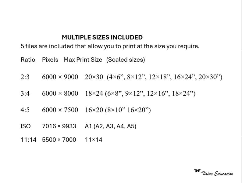 May include: A white graphic with black text detailing multiple print sizes, ratios, and pixel dimensions. The text includes sizes such as 20x30 inches, 18x24 inches, and 16x20 inches, along with corresponding pixel counts.
