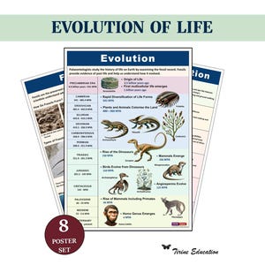 Evolution of Life Science Posters, Biology, Printable Middle & High School STEM Classroom Decor