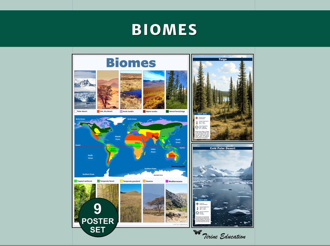 Biomes Poster Set of 9, Printable Ecosystems Science Classroom Decor ...