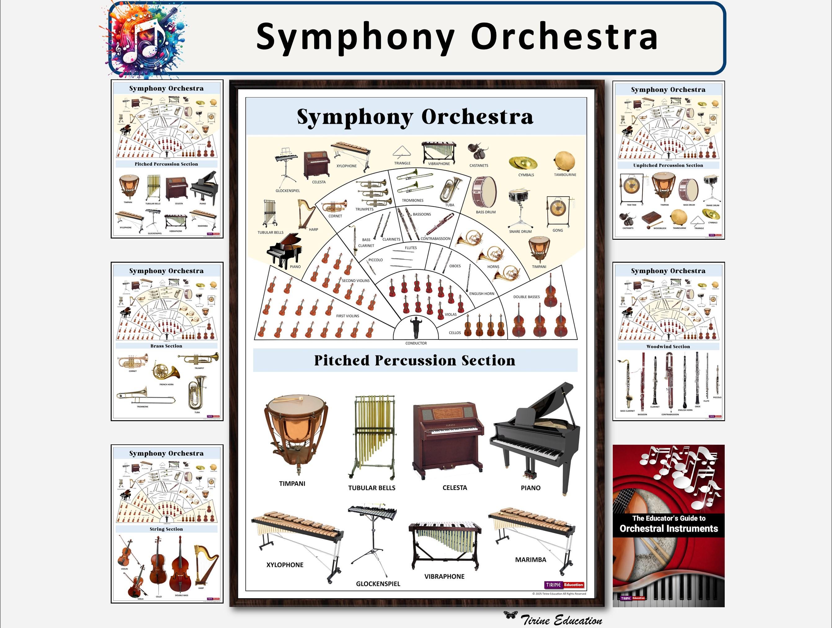 Symphony Orchestra Poster Set: Layout & Instruments (digital