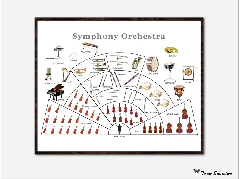 Symphony Orchestra Layout, Printable Classroom Music Poster, Educational Poster, Printable ...