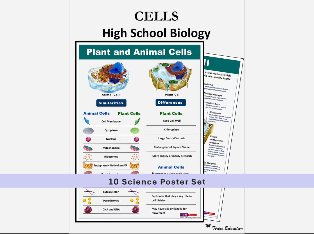 Science Classroom Posters, Cells. Printable High School Biology ...