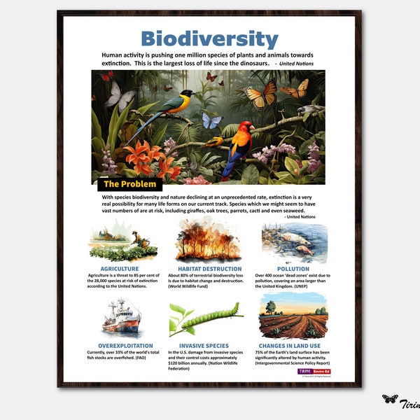 Environmental Science Poster, Biodiversity, High School, Science Education, Educational Poster, Science classroom poster, Digital download