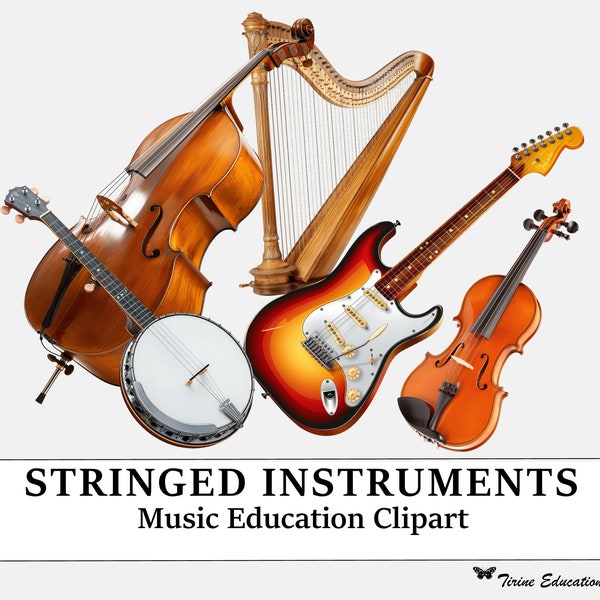 Stringed Instruments Clipart, Music Education, Educational clipart, Classroom clipart, High-Quality PNG, School Projects, Teaching Resources