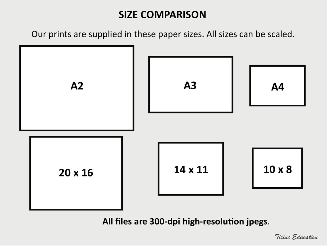 History Posters Set, Key Concepts in History, Educational Poster, High