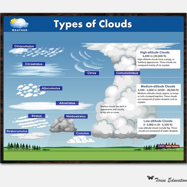 Types of Clouds Science poster, Earth and Space Science, Junior Science, Classroom Poster, Educational Poster, Digital Download, Printable