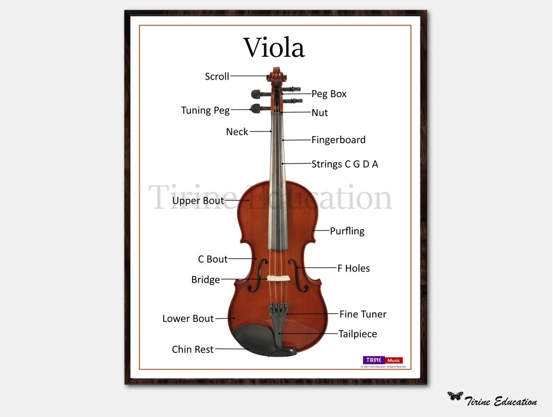 Viola Music Classroom Poster, Parts of a Viola, Printable Classroom