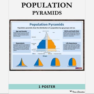 Population Pyramids Poster: Printable High School Geography Classroom Decor (Digital Download)
