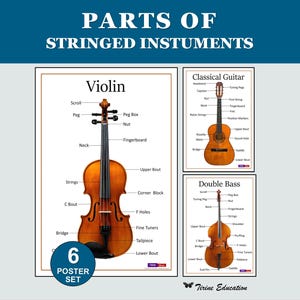 String Instruments Posters:  Named Parts, Violin Viola Cello Double Bass Guitar, Middle and High School Music Classroom Decor