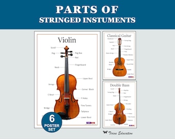 Poster di strumenti a corda: parti nominate, violino, viola, violoncello, contrabbasso, chitarra, decorazioni per aule di musica di scuole medie e superiori.