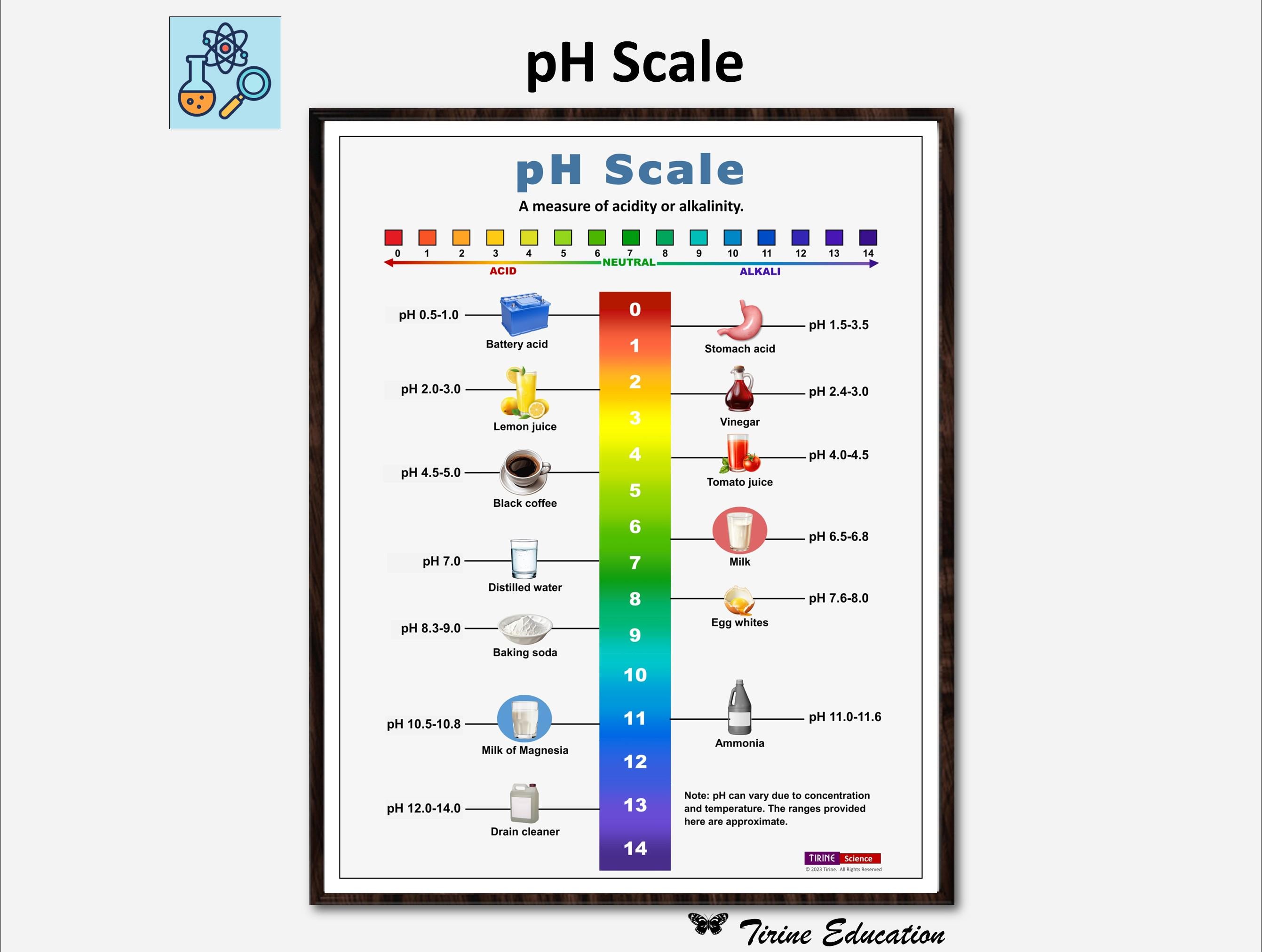 Enagic Business Plan Pdf Enagic Kangen Leveluk Tokurei Starter Kit