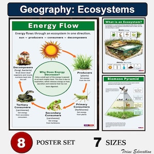 Ecosystems Poster Set: Middle & High School Geography Charts (Digital Download)