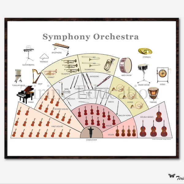 Poster showing Symphony Orchestra Layout for Middle School and High School Music Classroom Wall Art and Teaching Resource for Music Teacher