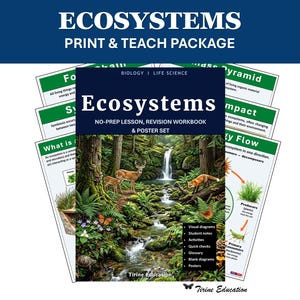 Livro de exercícios e pôsteres de biologia, ecossistemas, aulas de ciências e revisão, ensino fundamental II (11-14 anos).