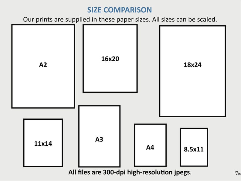 Op de afbeelding: Een grafiek die verschillende papierformaten voor afdrukken vergelijkt. De formaten zijn gelabeld met afmetingen in inches, zoals 16x20, 18x24 en 11x14. De grafiek bevat ook standaard papierformaten zoals A2, A3 en A4.