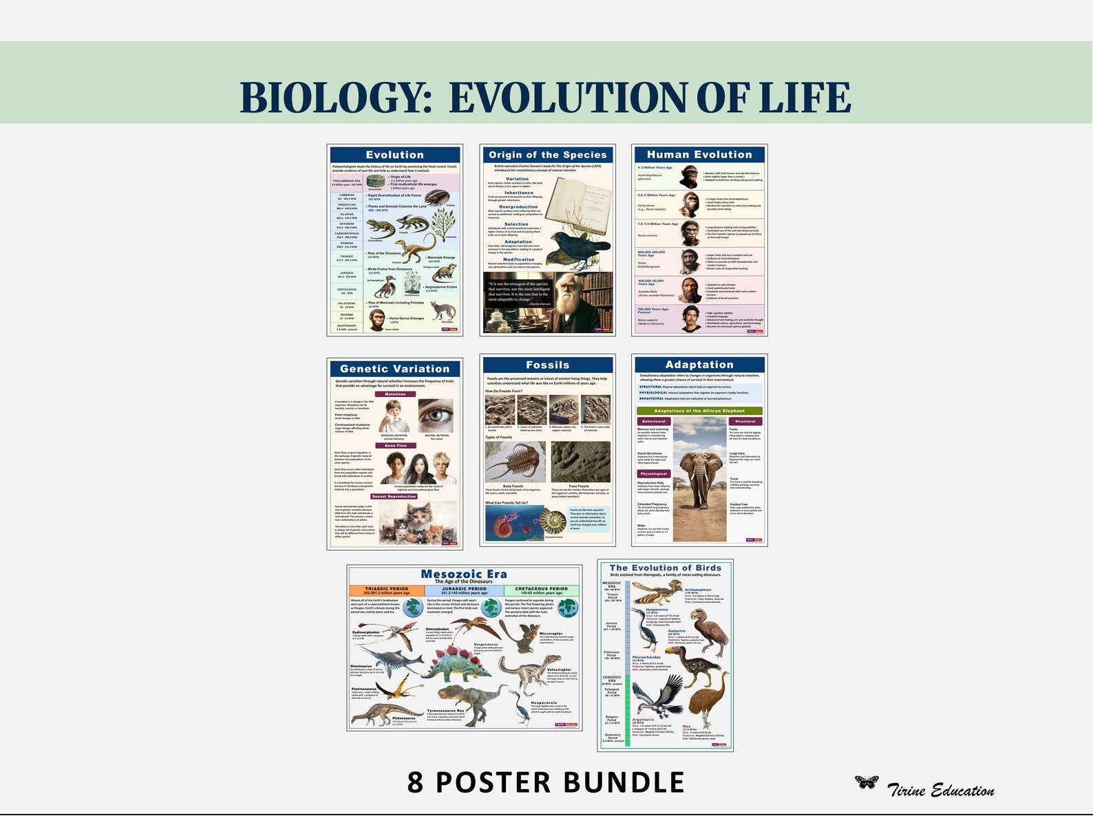 Evolution of Life Science Posters, 8 Printable Biology Prints for ...