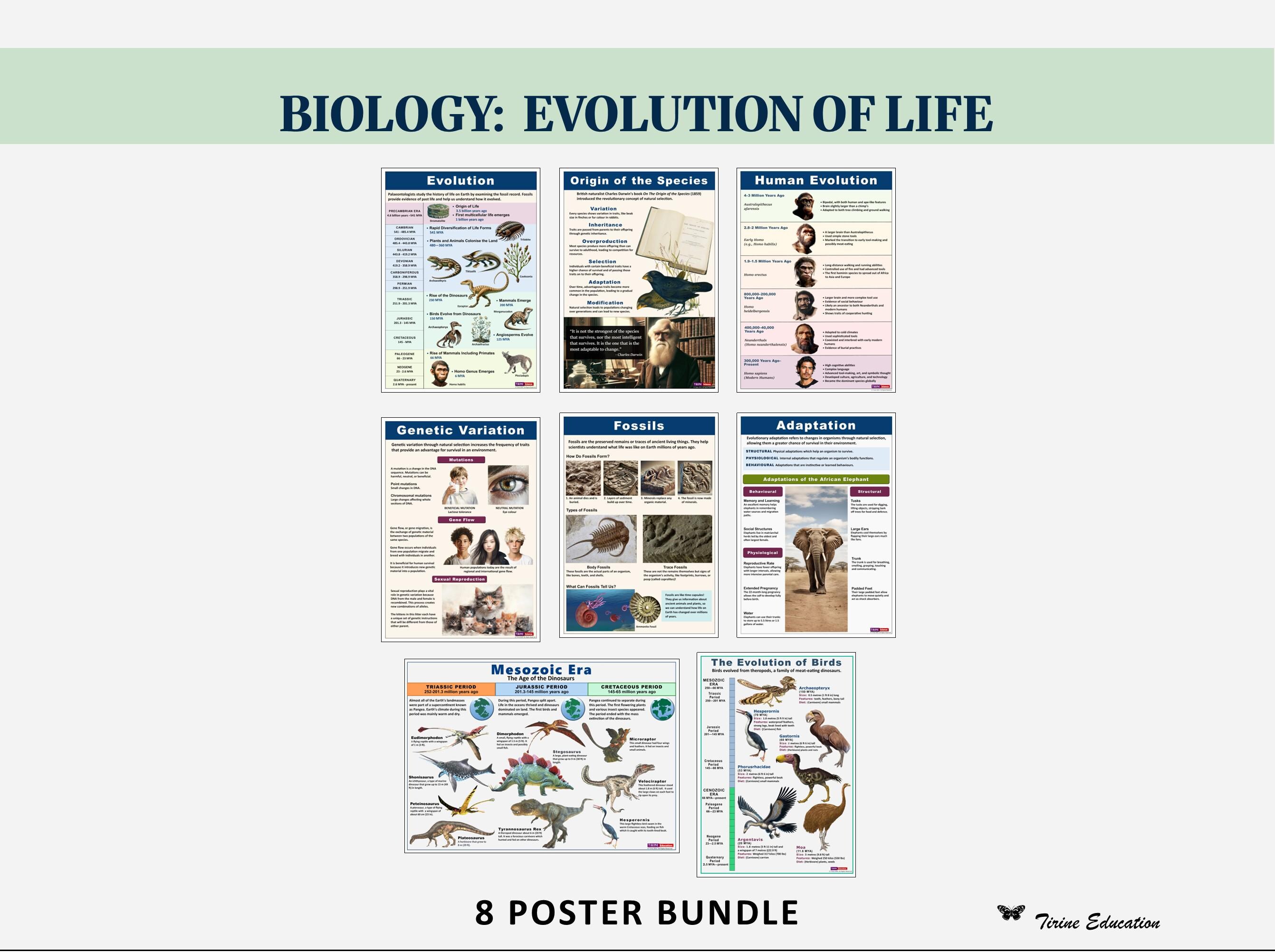 Evolution of Life Science Posters, 8 Printable Biology Prints for ...