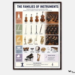 Poster met instrumentenfamilies voor orkesten: strijkers, houtblazers, koperblazers, slagwerk en toetsinstrumenten. Ankerkaart voor de muziekles.
