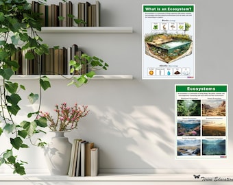 Daydream Education Life Cycle Of A Plant | Science Posters | Gloss Paper Measuring 850mm X 594mm (A1) | Science Charts For The Classroom | Education Charts