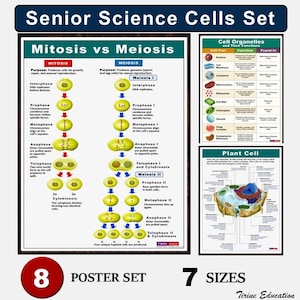 Zellstruktur Biologie Poster: High School Wissenschaft Klassenzimmer Dekoration (Digitaler Download)