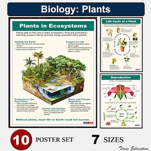 Plant Science Poster Bundle: Mittel- & Oberstufen-Curriculum (Digitaler Download)