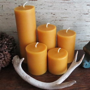 May include: Five beeswax candles of varying sizes, arranged in a row on a wooden surface. The candles are a warm, honey-colored yellow. A white antler is placed in front of the candles. The background is a rustic, wood-grain wallpaper with the text "Bees Light Candles" printed at the top.