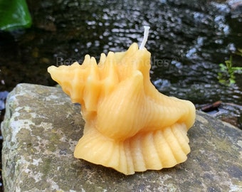 Seashell Beeswax Candle / Conch Shell / 100% All Natural Bees Wax / Ocean Candles / Bay / Sea Shore / Water / Aqua / House Warming / Summer