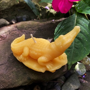Crocodile Beeswax Candle / 100% Bees Wax Candles/ Clean Burn / Cotton Wicks / Alligator / Gator / Animals / Everglades / Gift Unique / Swamp