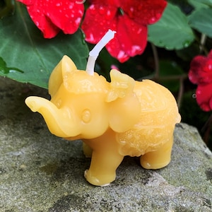 Elefant Bienenwachs Kerze / Afrikanische Elefanten /Waldtier /Schöne Geschöpfe /Säugetier / Rüssel /Dumbo /Regenwald Wildtiere