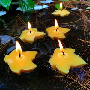 以下が含まれることがあります： 暗い水たまりに浮かぶ、黄色い星型のろうそくが5本。芯が燃えていて、周りは茶色の松葉で囲まれている。