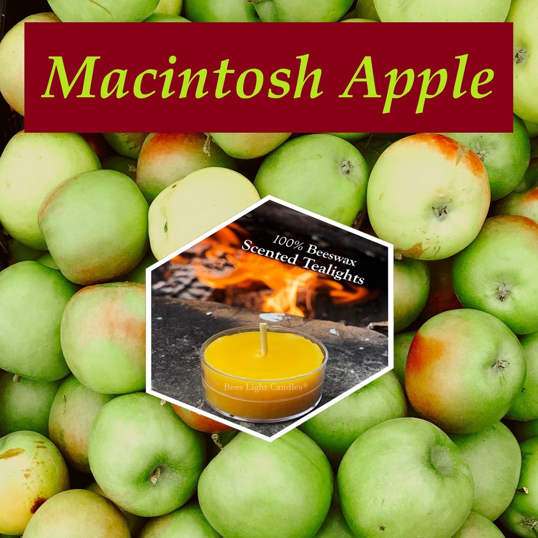 Macintosh Apple / Scented Beeswax Tealight Candle / Made With 100 All